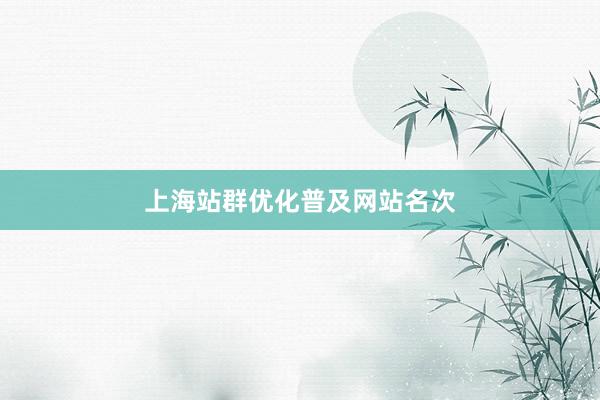 上海站群优化普及网站名次
