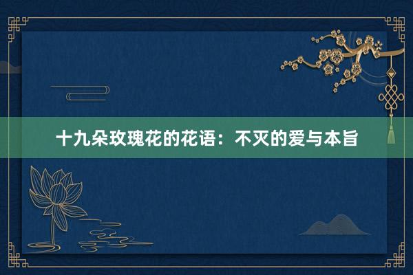 十九朵玫瑰花的花语:不灭的爱与本旨