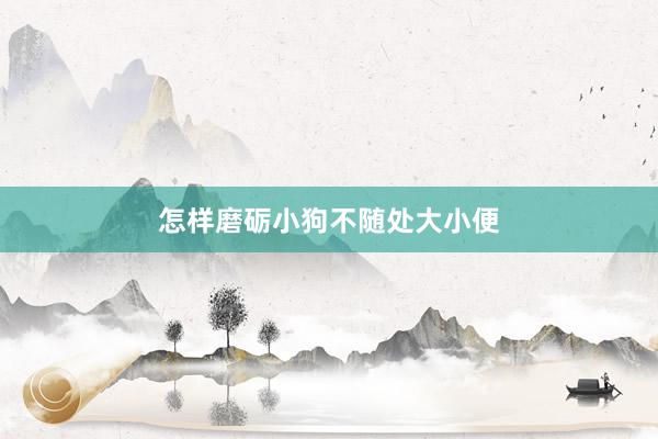 怎样磨砺小狗不随处大小便