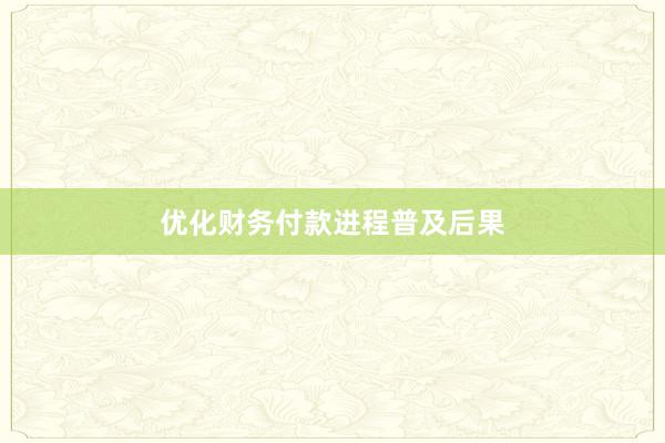优化财务付款进程普及后果